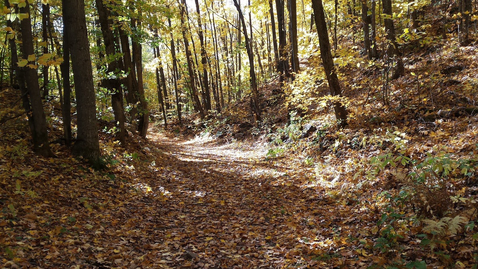 Club de Vélo du Grand Joliette